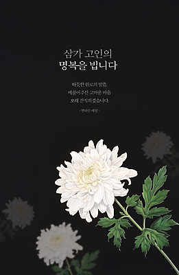 PSD 템플릿 국화 사람없음 슬픔 죽음 애도 위로 장례 고인 장례식 이미지템플릿 꽃 감정 파일형식