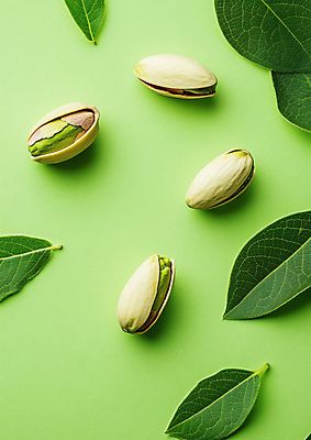 JPG 편집이미지 잎 나뭇잎 사람없음 연두색 껍질 피스타치오 편집실사 AI포토 AI콘텐츠 식물 초록색 견과류 CG 파일형식