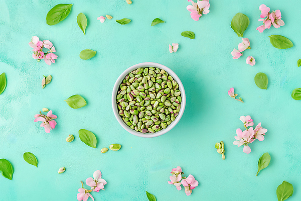 JPG 편집이미지 꽃 잎 나뭇잎 사람없음 민트색 피스타치오 편집실사 AI포토 AI콘텐츠 식물 컬러 견과류 CG 파일형식