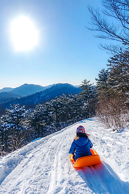 JPG 나무 편집이미지 여자 어린이 겨울 자연 산 그림자 한명 소녀 태양 설원 눈 승차 숲 언덕 즐거움 썰매 썰매놀이 의료성형뷰티 소녀한명만 편집실사 AI인물포토 AI콘텐츠 자연요소 식물 1 계절 감정 모션 놀이 날씨 눈_날씨 사람 CG 생태계 여자한명만 소녀만 파일형식 AI포토