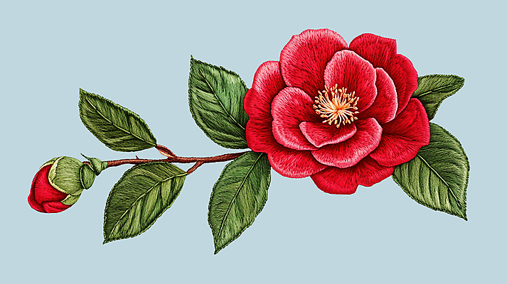 PSD 편집이미지 잎 사람없음 나뭇가지 겨울꽃 자수 동백 와펜 이미지편집 편집실사 나무 식물 꽃 겨울 CG 파일형식