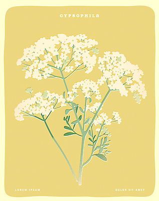 포스터 일러스트 사람없음 노란색 오브젝트 안개꽃 국내일러스트 AI파일 꽃 컬러 한해살이풀 파일형식 벡터