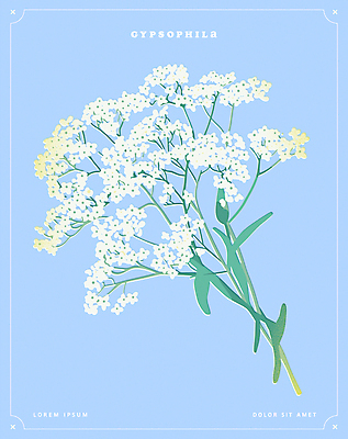 포스터 하늘색 일러스트 사람없음 오브젝트 안개꽃 국내일러스트 AI파일 꽃 파란색 한해살이풀 파일형식 벡터