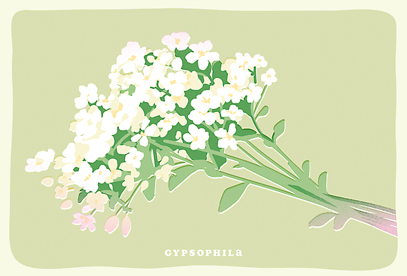 포스터 일러스트 사람없음 초록색 오브젝트 안개꽃 국내일러스트 AI파일 꽃 컬러 한해살이풀 파일형식 벡터