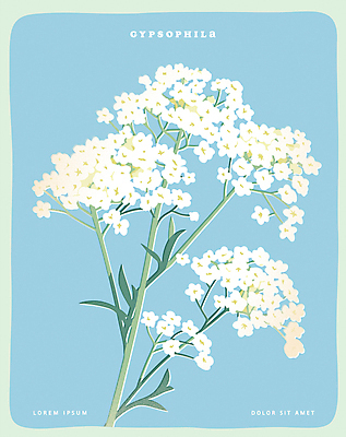 포스터 하늘색 일러스트 사람없음 오브젝트 안개꽃 국내일러스트 AI파일 꽃 파란색 한해살이풀 파일형식 벡터