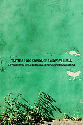 PSD 편집이미지 백그라운드 사람없음 초록색 잡초 균열 질감 콘크리트벽 카피스페이스 이미지편집 식물 벽 컬러 모션 공백 파일형식