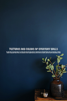 PSD 편집이미지 화분 백그라운드 선반 사람없음 균열 남색 질감 콘크리트벽 카피스페이스 이미지편집 벽 컬러 가구 모션 공백 파일형식