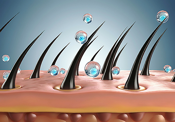 JPG 편집이미지 관리 사람없음 머리카락 물방울 수분 영양 두피 탈모 피부층 편집실사 AI컴퓨터그래픽 AI콘텐츠 머리 피부 CG 증상 파일형식
