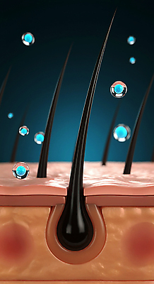 JPG 편집이미지 관리 사람없음 머리카락 물방울 수분 영양 두피 탈모 피부층 편집실사 AI컴퓨터그래픽 AI콘텐츠 머리 피부 CG 증상 파일형식