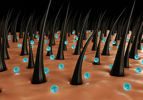 JPG 편집이미지 관리 사람없음 머리카락 물방울 수분 영양 두피 탈모 편집실사 AI컴퓨터그래픽 AI콘텐츠 머리 CG 증상 파일형식