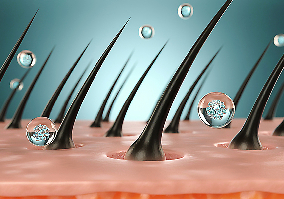 JPG 편집이미지 관리 사람없음 머리카락 물방울 수분 영양 두피 탈모 편집실사 AI컴퓨터그래픽 AI콘텐츠 머리 CG 증상 파일형식