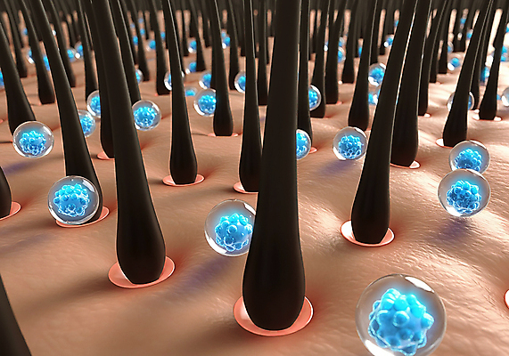 JPG 편집이미지 관리 사람없음 머리카락 물방울 수분 영양 두피 탈모 편집실사 AI컴퓨터그래픽 AI콘텐츠 머리 CG 증상 파일형식