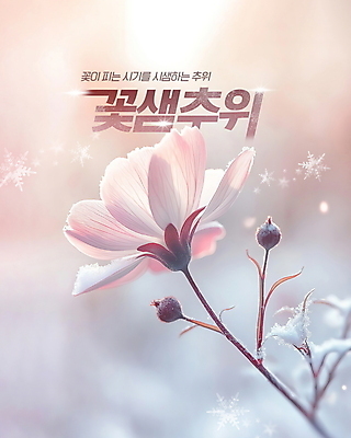 PSD 편집이미지 분홍색 자연 눈꽃 사람없음 봄 추위 서리 목련 환절기 겨울풍경 꽃샘추위 이미지편집 계절 꽃 컬러 겨울 눈_날씨 풍경 생태계 파일형식