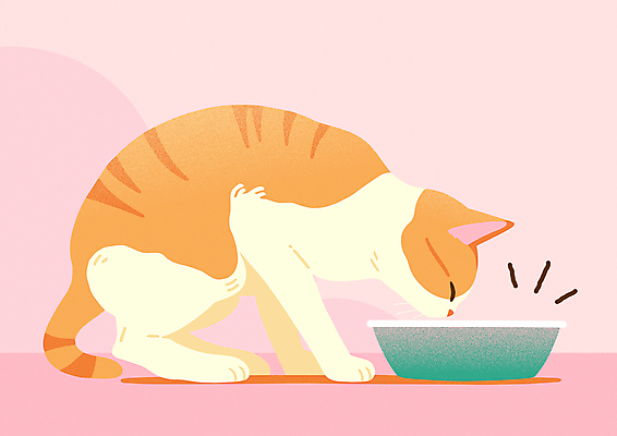 분홍색 일러스트 사람없음 귀여움 고양이 먹기 밥그릇 국내일러스트 AI파일 그릇 컬러 컨셉 포유류 모션 반려동물 파일형식 벡터