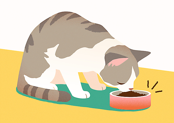 일러스트 사람없음 노란색 귀여움 눈감음 고양이 먹기 밥그릇 고양이먹이 국내일러스트 AI파일 그릇 컬러 컨셉 포유류 모션 반려동물 먹이 파일형식 벡터