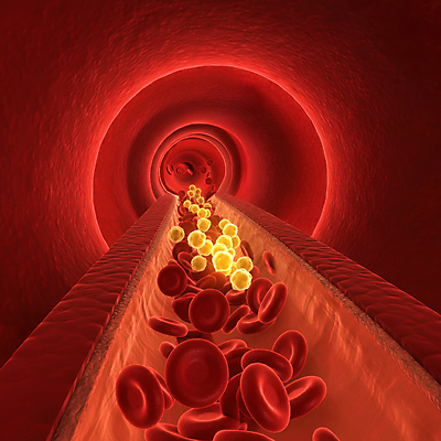 JPG 편집이미지 건강 사람없음 혈액 디지털합성 혈관 적혈구 혈당 노화 편집3D 혈당급상승 AI컴퓨터그래픽 AI콘텐츠 컨셉 3D 장기_의학 혈구 파일형식