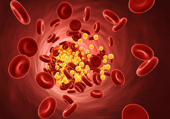 JPG 편집이미지 건강 사람없음 혈액 디지털합성 혈관 적혈구 혈당 노화 편집3D 혈당급상승 AI컴퓨터그래픽 AI콘텐츠 컨셉 3D 장기_의학 혈구 파일형식