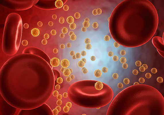 JPG 편집이미지 건강 사람없음 혈액 디지털합성 혈관 적혈구 혈당 노화 편집3D 혈당급상승 AI컴퓨터그래픽 AI콘텐츠 컨셉 3D 장기_의학 혈구 파일형식