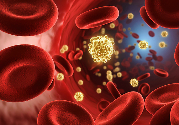 JPG 편집이미지 건강 사람없음 혈액 디지털합성 혈관 적혈구 혈당 노화 편집3D 혈당급상승 AI컴퓨터그래픽 AI콘텐츠 컨셉 3D 장기_의학 혈구 파일형식