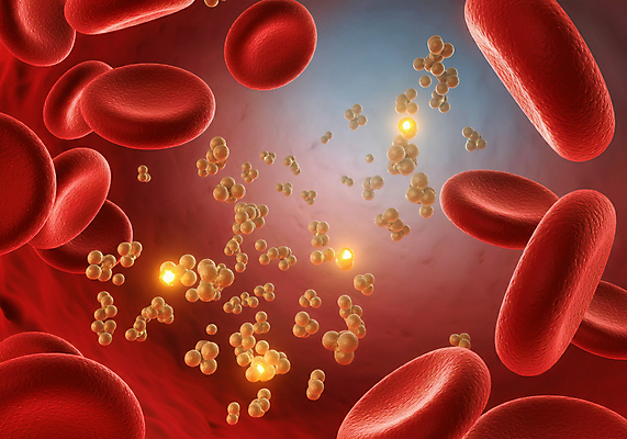 JPG 편집이미지 건강 사람없음 혈액 디지털합성 혈관 적혈구 혈당 노화 편집3D 혈당급상승 AI컴퓨터그래픽 AI콘텐츠 컨셉 3D 장기_의학 혈구 파일형식