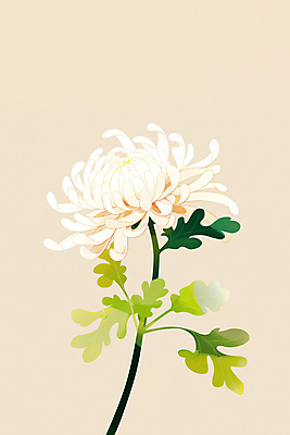 JPG 꽃잎 일러스트 국화 사람없음 심플 베이지색 국내일러스트 AI일러스트 AI콘텐츠 꽃 컬러 파일형식