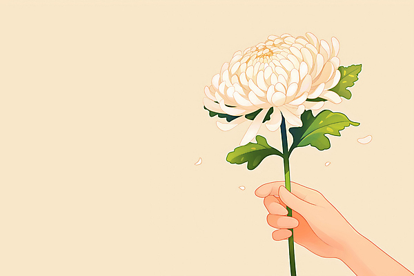 JPG 손 일러스트 국화 신체부위 잡기 심플 베이지색 국내일러스트 AI일러스트 AI콘텐츠 꽃 컬러 모션 사람 파일형식