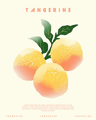 PSD 겨울 일러스트 귤 사람없음 농작물 주황색 신선 국내일러스트 계절 컬러 농업 과일 파일형식