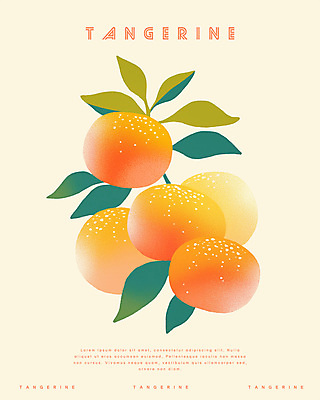 PSD 겨울 일러스트 귤 사람없음 농작물 주황색 신선 국내일러스트 계절 컬러 농업 과일 파일형식