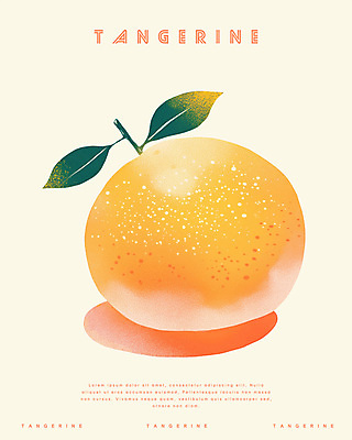 PSD 겨울 일러스트 귤 사람없음 농작물 주황색 신선 국내일러스트 계절 컬러 농업 과일 파일형식