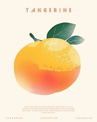 PSD 겨울 일러스트 귤 사람없음 농작물 주황색 신선 국내일러스트 계절 컬러 농업 과일 파일형식