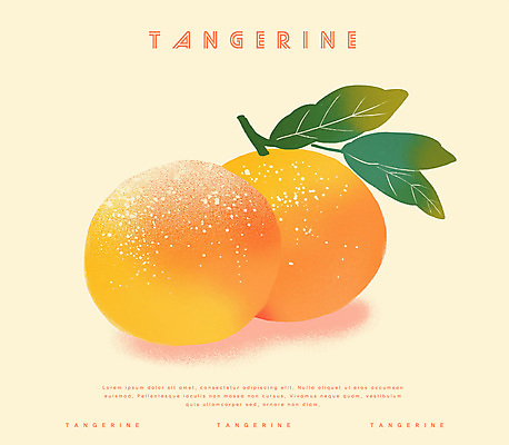 PSD 겨울 일러스트 귤 사람없음 농작물 주황색 신선 국내일러스트 계절 컬러 농업 과일 파일형식