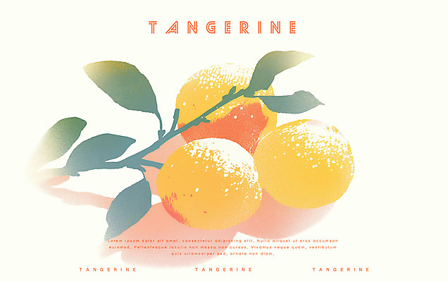 PSD 겨울 일러스트 귤 사람없음 농작물 주황색 신선 국내일러스트 계절 컬러 농업 과일 파일형식