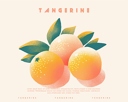 PSD 겨울 일러스트 귤 사람없음 농작물 주황색 신선 국내일러스트 계절 컬러 농업 과일 파일형식