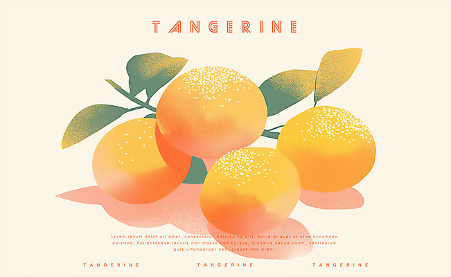 PSD 겨울 일러스트 귤 사람없음 농작물 주황색 신선 국내일러스트 계절 컬러 농업 과일 파일형식