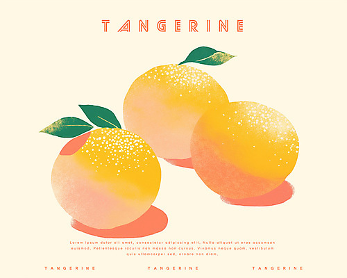 PSD 겨울 일러스트 귤 사람없음 농작물 주황색 신선 국내일러스트 계절 컬러 농업 과일 파일형식