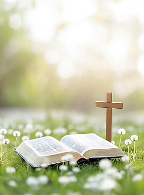 JPG 편집이미지 기독교 잔디 사람없음 햇빛 성당 교회 성경 천주교 민들레 나무십자가 편집실사 AI포토 AI콘텐츠 식물 꽃 종교 십자가 종교용품 종교건축 건물 태양 CG 파일형식