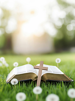 JPG 편집이미지 기독교 잔디 사람없음 햇빛 성당 교회 성경 천주교 민들레 나무십자가 편집실사 AI포토 AI콘텐츠 식물 꽃 종교 십자가 종교용품 종교건축 건물 태양 CG 파일형식