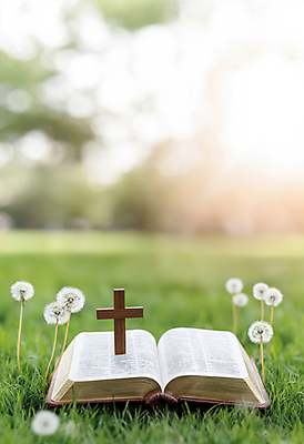 JPG 편집이미지 기독교 잔디 사람없음 햇빛 성당 교회 성경 천주교 민들레 나무십자가 편집실사 AI포토 AI콘텐츠 식물 꽃 종교 십자가 종교용품 종교건축 건물 태양 CG 파일형식