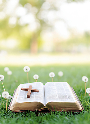 JPG 편집이미지 기독교 잔디 사람없음 햇빛 성당 교회 성경 천주교 민들레 나무십자가 편집실사 AI포토 AI콘텐츠 식물 꽃 종교 십자가 종교용품 종교건축 건물 태양 CG 파일형식