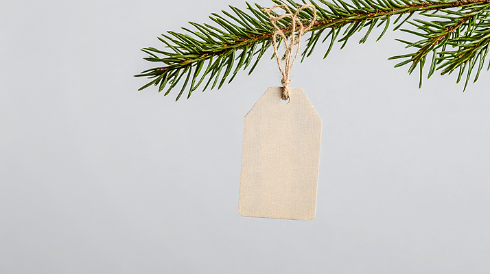 PSD 편집이미지 사람없음 꼬리표 나뭇가지 묶기 솔잎 짚끈 카피스페이스 이미지편집 편집실사 나무 잎 모션 라벨 공백 끈 CG 파일형식