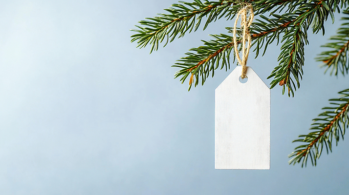 PSD 편집이미지 하늘색 사람없음 꼬리표 나뭇가지 묶기 솔잎 짚끈 카피스페이스 이미지편집 편집실사 나무 잎 모션 파란색 라벨 공백 끈 CG 파일형식