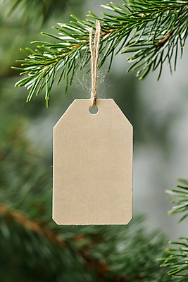 PSD 편집이미지 사람없음 초록색 꼬리표 나뭇가지 묶기 솔잎 짚끈 카피스페이스 이미지편집 편집실사 나무 컬러 잎 모션 라벨 공백 끈 CG 파일형식