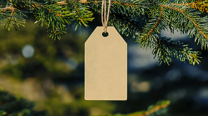 PSD 편집이미지 사람없음 초록색 꼬리표 나뭇가지 묶기 솔잎 짚끈 카피스페이스 이미지편집 편집실사 나무 컬러 잎 모션 라벨 공백 끈 CG 파일형식