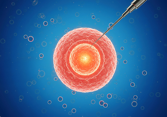 JPG 편집이미지 주사기 사람없음 디지털합성 난자 시술 생명과학 편집실사 시험관시술 AI컴퓨터그래픽 AI콘텐츠 정자세포 과학 의료기기 임신 CG 생식세포 파일형식