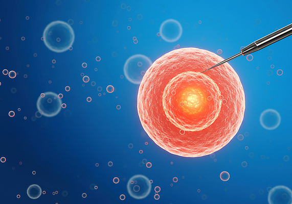 JPG 편집이미지 주사기 사람없음 디지털합성 난자 시술 생명과학 편집실사 시험관시술 AI컴퓨터그래픽 AI콘텐츠 정자세포 과학 의료기기 임신 CG 생식세포 파일형식