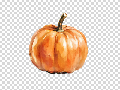 편집이미지 호박 수채화 누끼 사람없음 PNG 편집소스 채소 파일형식