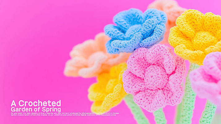 PSD 편집이미지 분홍색 봄꽃 사람없음 장미 뜨개질 공예 생동감 핸드메이드 이미지편집 편집실사 꽃 컬러 취미 봄 CG 파일형식