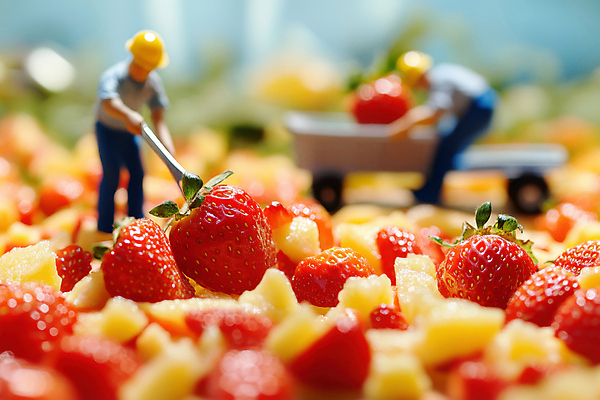 JPG 전신 편집이미지 모자 남자 과일 작업복 들기 성인 두명 빨간색 노란색 미니어처 밀기 삽 성인남자만 딸기농장 편집실사 AI포토 AI콘텐츠 잡화 옷 컬러 모션 딸기 사람 농장 모형 CG 남자만 성인만 파일형식