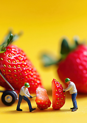 JPG 전신 편집이미지 모자 남자 조각 과일 단면 작업복 성인 두명 빨간색 노란색 수레 미니어처 잡기 막대기 성인남자만 딸기농장 편집실사 AI포토 AI콘텐츠 잡화 옷 컬러 모션 딸기 사람 농장 모형 카트 CG 남자만 성인만 파일형식