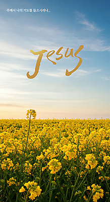 PSD 편집이미지 기독교 꽃밭 하늘 사람없음 기도 예수 성경말씀 이미지편집 꽃 종교 신_종교 파일형식